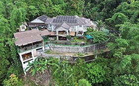 Hickory Penang Hill